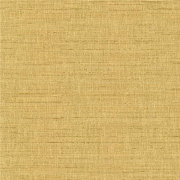 With A View Camel  by Kasmir Fabric See sample 63% Polyester
37% Cotton
 INDIA 50,000 Wyzenbeek Double Rubs </p><p>Repeat: Horizontal: N/A and Vertical: N/A 54  - Fabric Carolina -