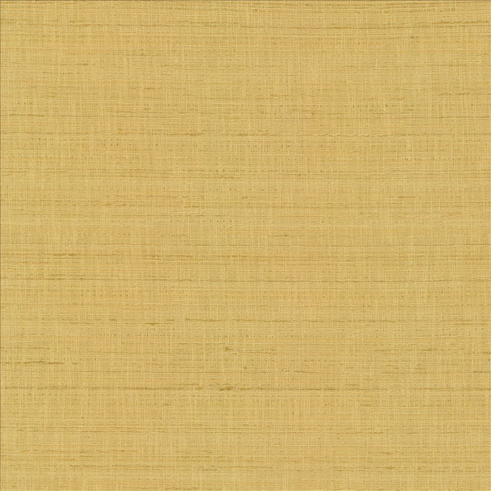 With A View Camel by Kasmir Fabric 5170 63% Polyester
37% Cotton
 INDIA 50,000 Wyzenbeek Double Rubs </p><p>Repeat: Horizontal: N/A and Vertical: N/A 54 - Fabric Carolina -