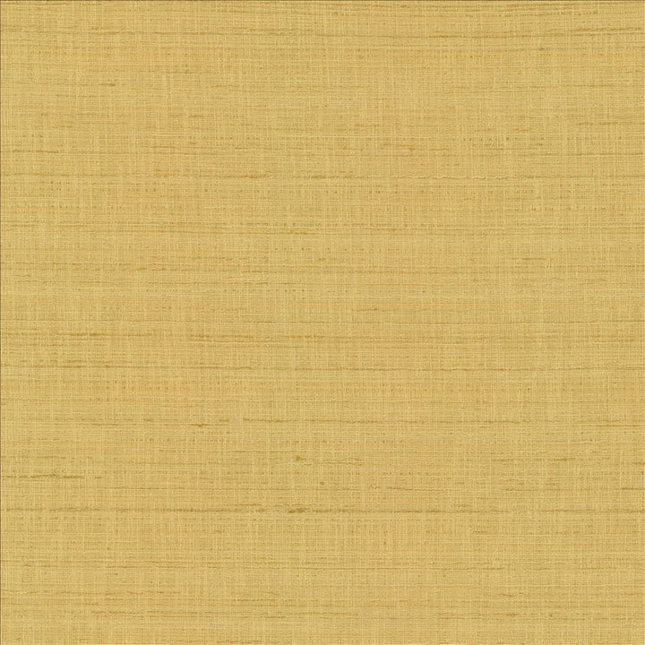 With A View Camel by Kasmir Fabric 5170 63% Polyester
37% Cotton
 INDIA 50,000 Wyzenbeek Double Rubs </p><p>Repeat: Horizontal: N/A and Vertical: N/A 54 - Fabric Carolina -