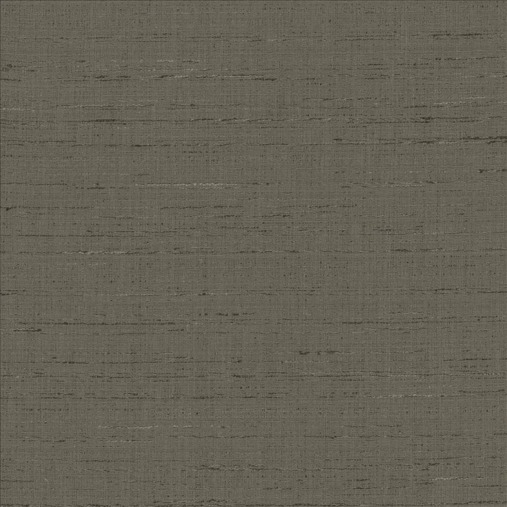 With A View Charcoal by Kasmir Fabric 5170 63% Polyester
37% Cotton
 INDIA 50,000 Wyzenbeek Double Rubs </p><p>Repeat: Horizontal: N/A and Vertical: N/A 54 - Fabric Carolina -
