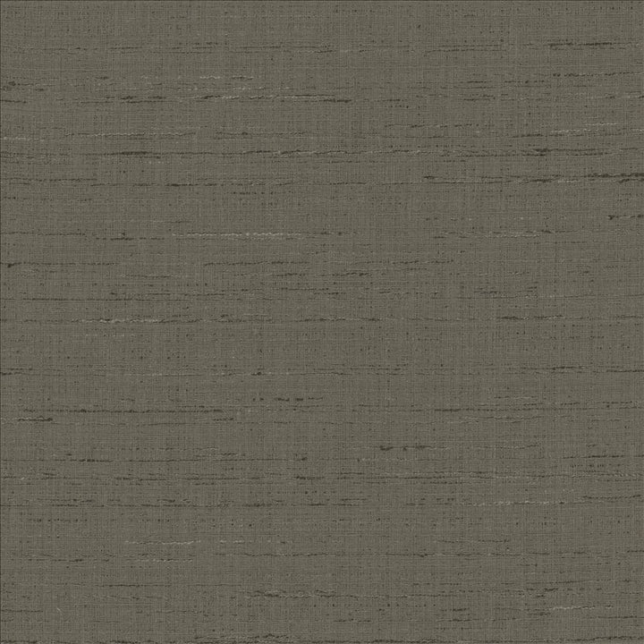 With A View Charcoal by Kasmir Fabric 5170 63% Polyester
37% Cotton
 INDIA 50,000 Wyzenbeek Double Rubs </p><p>Repeat: Horizontal: N/A and Vertical: N/A 54 - Fabric Carolina -