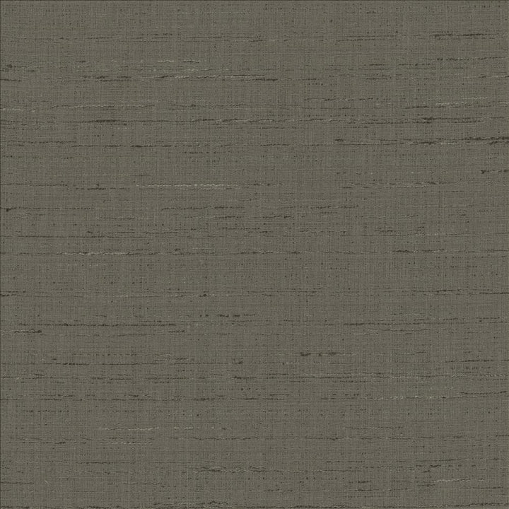 With A View Charcoal by Kasmir Fabric 5170 63% Polyester
37% Cotton
 INDIA </p><p>Repeat: Horizontal: N/A and Vertical: N/A 54 - Fabric Carolina -