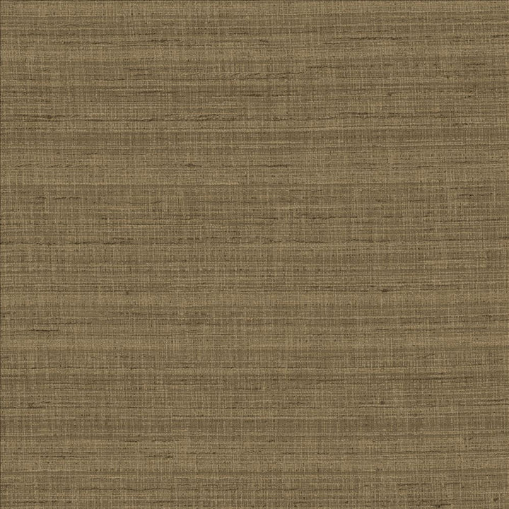 With A View Cocoa by Kasmir Fabric 5170 63% Polyester
37% Cotton
 INDIA </p><p>Repeat: Horizontal: N/A and Vertical: N/A 54 - Fabric Carolina -