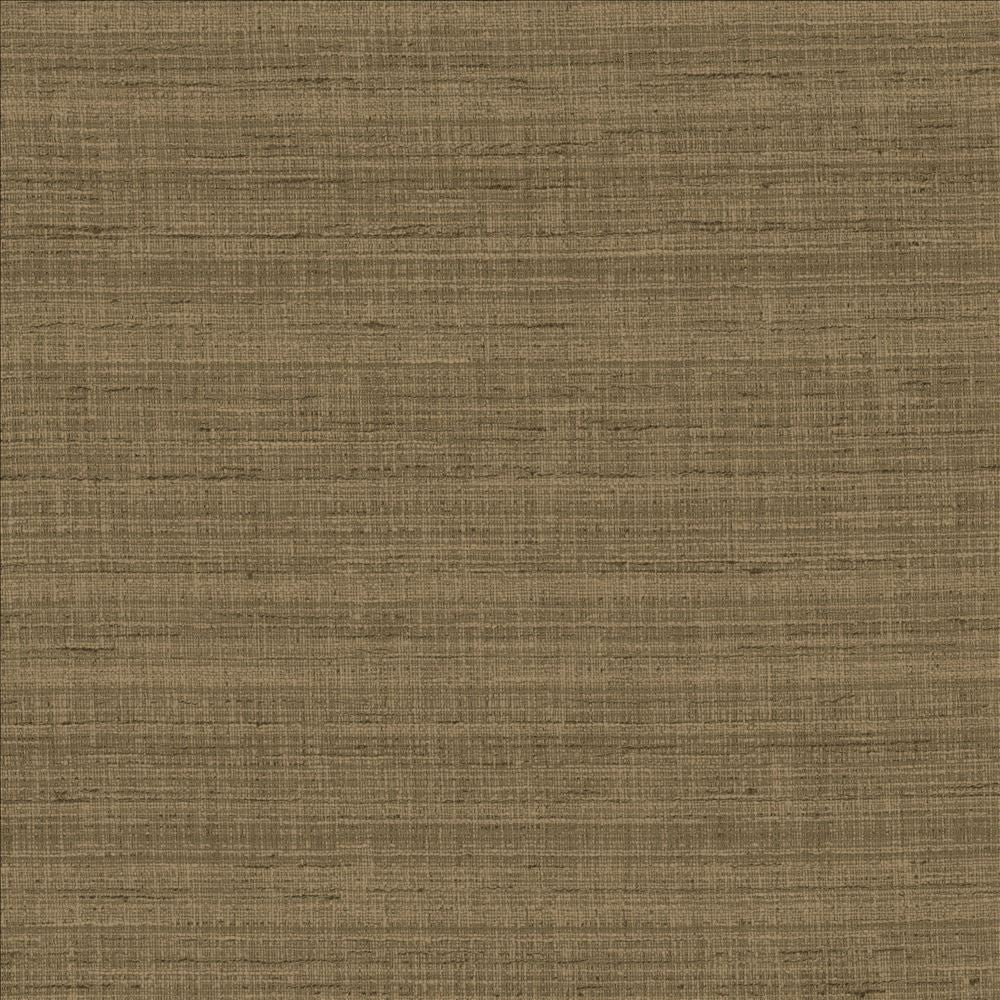 With A View Cocoa by Kasmir Fabric 5170 63% Polyester
37% Cotton
 INDIA 50,000 Wyzenbeek Double Rubs </p><p>Repeat: Horizontal: N/A and Vertical: N/A 54 - Fabric Carolina -