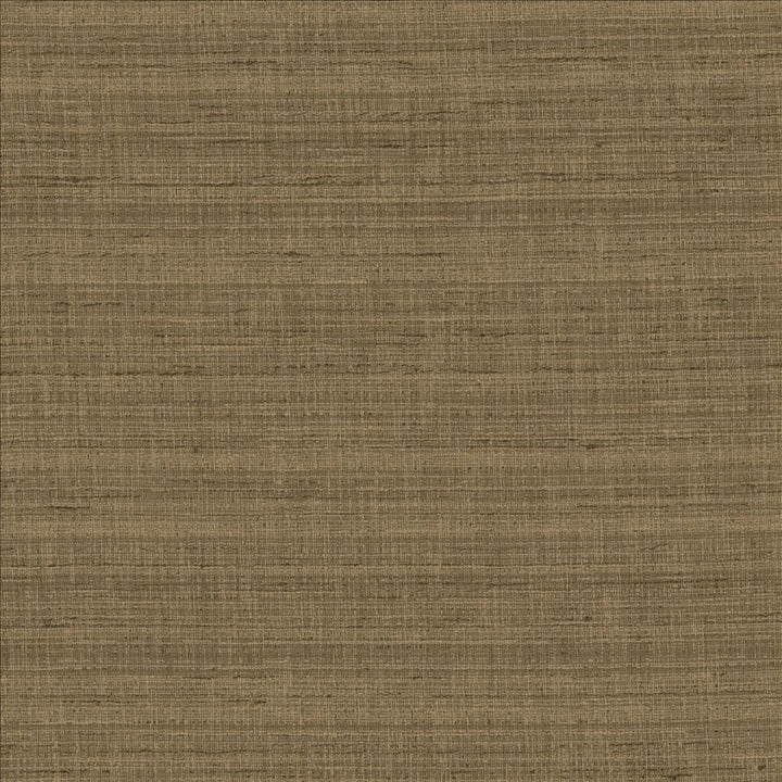 With A View Cocoa by Kasmir Fabric 5170 63% Polyester
37% Cotton
 INDIA 50,000 Wyzenbeek Double Rubs </p><p>Repeat: Horizontal: N/A and Vertical: N/A 54 - Fabric Carolina -