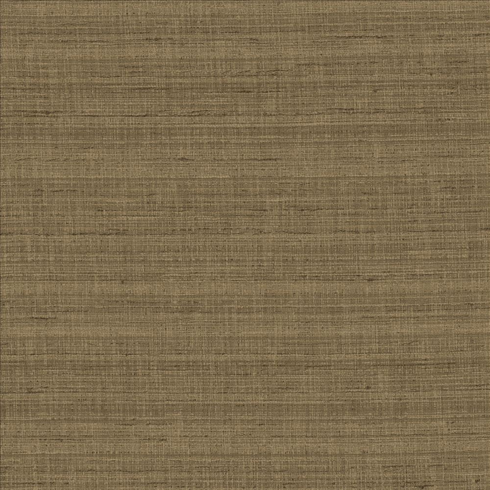 With A View Cocoa by Kasmir Fabric 5170 63% Polyester
37% Cotton
 INDIA 50,000 Wyzenbeek Double Rubs Horizontal: N/A and Vertical: N/A 54 - Fabric Carolina -