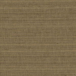 With A View Cocoa by Kasmir Fabric