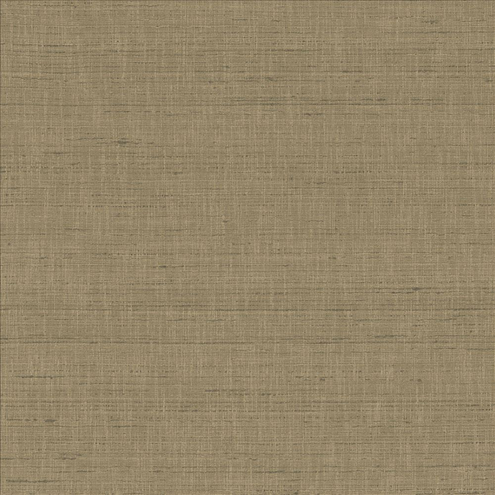 With A View Concrete by Kasmir Fabric 5170 63% Polyester
37% Cotton
 INDIA 50,000 Wyzenbeek Double Rubs </p><p>Repeat: Horizontal: N/A and Vertical: N/A 54 - Fabric Carolina -