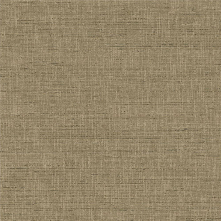 With A View Concrete by Kasmir Fabric 5170 63% Polyester
37% Cotton
 INDIA 50,000 Wyzenbeek Double Rubs </p><p>Repeat: Horizontal: N/A and Vertical: N/A 54 - Fabric Carolina -
