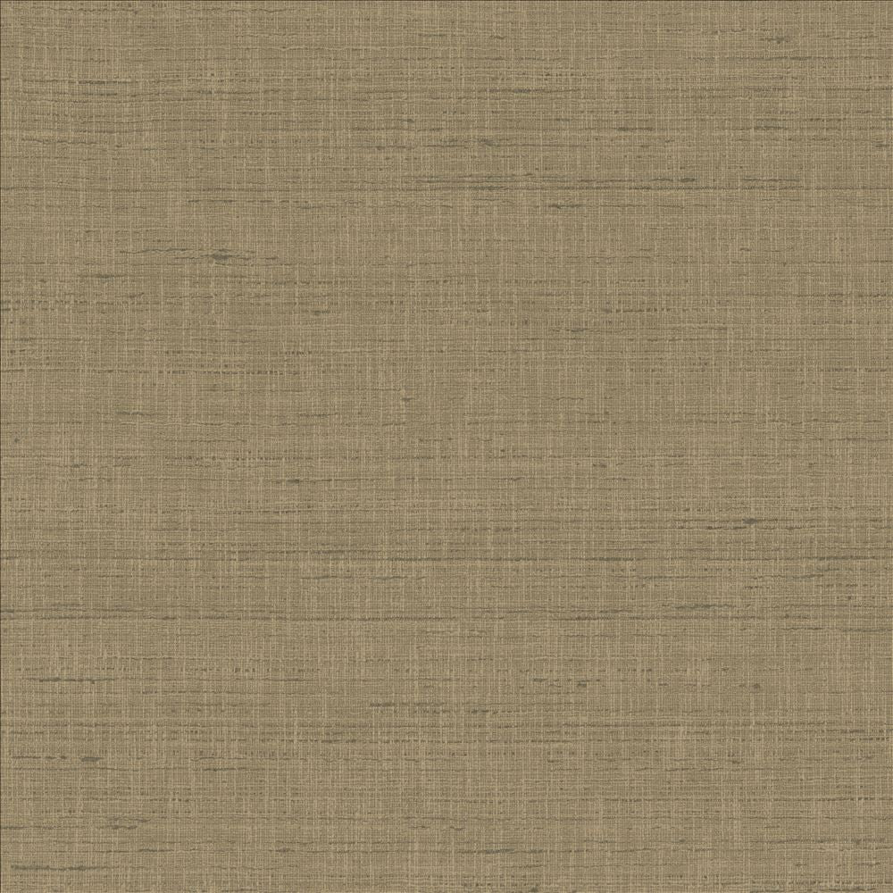 With A View Concrete by Kasmir Fabric 5170 63% Polyester
37% Cotton
 INDIA </p><p>Repeat: Horizontal: N/A and Vertical: N/A 54 - Fabric Carolina -