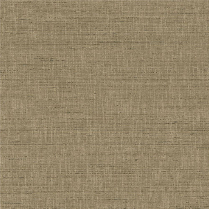 With A View Concrete by Kasmir Fabric 5170 63% Polyester
37% Cotton
 INDIA 50,000 Wyzenbeek Double Rubs Horizontal: N/A and Vertical: N/A 54 - Fabric Carolina -