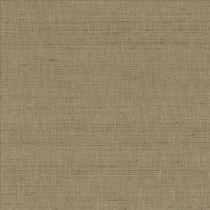 With A View Concrete by Kasmir Fabric