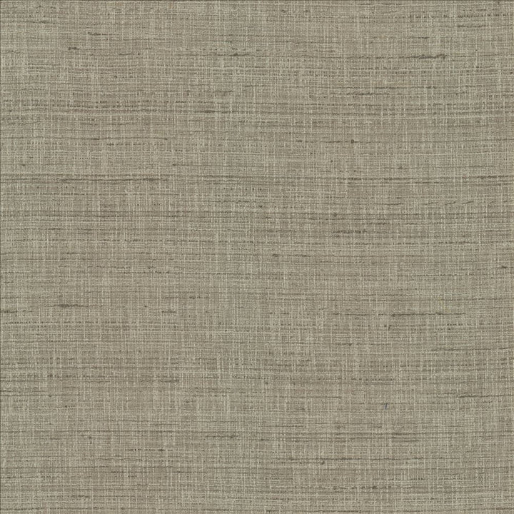 With A View Grey by Kasmir Fabric 5170 63% Polyester
37% Cotton
 INDIA 50,000 Wyzenbeek Double Rubs Horizontal: N/A and Vertical: N/A 54 - Fabric Carolina -