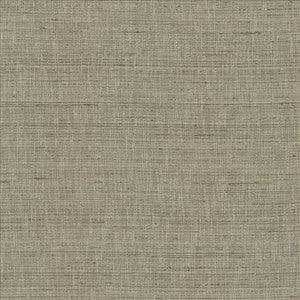 With A View Grey by Kasmir Fabric