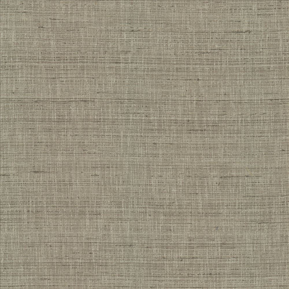 With A View Grey by Kasmir Fabric 5170 63% Polyester
37% Cotton
 INDIA 50,000 Wyzenbeek Double Rubs </p><p>Repeat: Horizontal: N/A and Vertical: N/A 54 - Fabric Carolina -