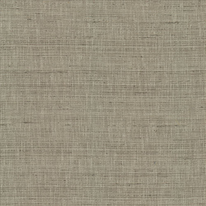 With A View Grey by Kasmir Fabric 5170 63% Polyester
37% Cotton
 INDIA 50,000 Wyzenbeek Double Rubs </p><p>Repeat: Horizontal: N/A and Vertical: N/A 54 - Fabric Carolina -