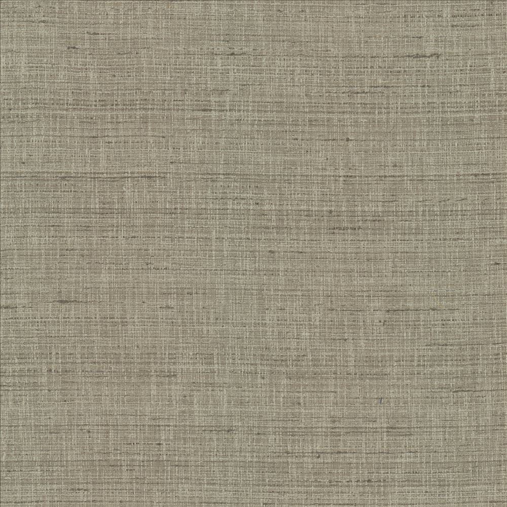 With A View Grey by Kasmir Fabric 5170 63% Polyester
37% Cotton
 INDIA </p><p>Repeat: Horizontal: N/A and Vertical: N/A 54 - Fabric Carolina -