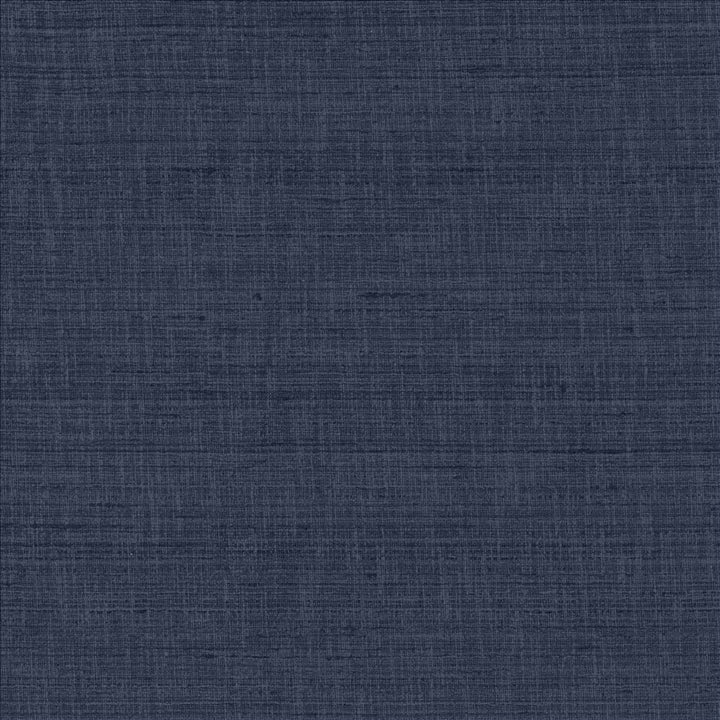 With A View Indigo  by Kasmir Fabric See sample 63% Polyester
37% Cotton
 INDIA 50,000 Wyzenbeek Double Rubs </p><p>Repeat: Horizontal: N/A and Vertical: N/A 54  - Fabric Carolina -