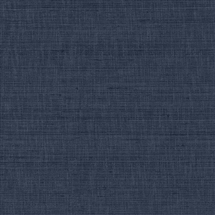 With A View Indigo by Kasmir Fabric 5170 63% Polyester
37% Cotton
 INDIA 50,000 Wyzenbeek Double Rubs </p><p>Repeat: Horizontal: N/A and Vertical: N/A 54 - Fabric Carolina -