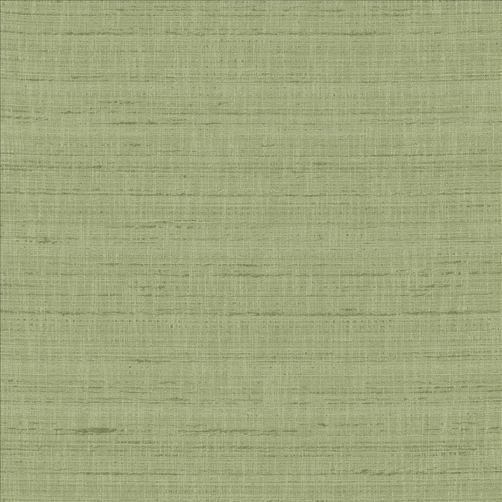 With A View Ivy  by Kasmir Fabric See sample 63% Polyester
37% Cotton
 INDIA 50,000 Wyzenbeek Double Rubs </p><p>Repeat: Horizontal: N/A and Vertical: N/A 54  - Fabric Carolina -