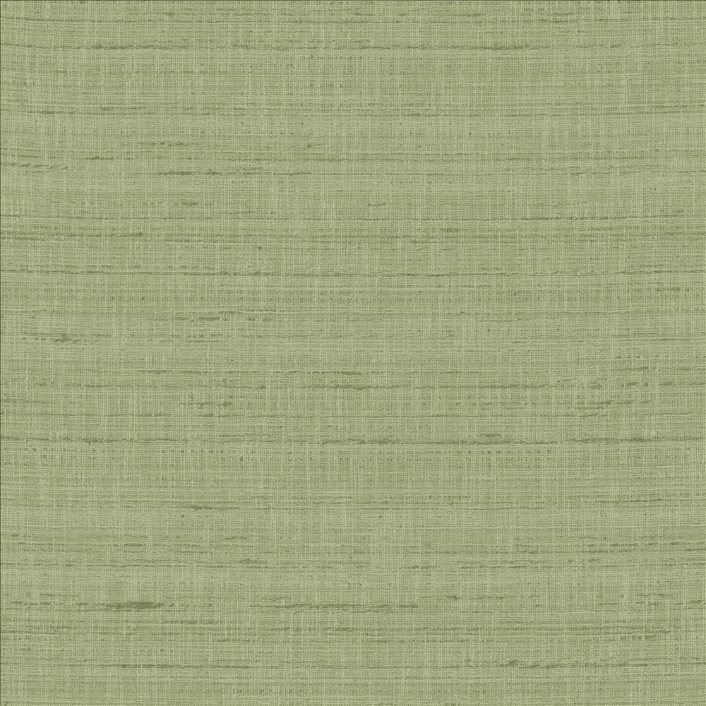 With A View Ivy by Kasmir Fabric 5170 63% Polyester
37% Cotton
 INDIA 50,000 Wyzenbeek Double Rubs </p><p>Repeat: Horizontal: N/A and Vertical: N/A 54 - Fabric Carolina -