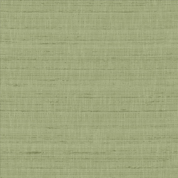 With A View Ivy by Kasmir Fabric 5170 63% Polyester
37% Cotton
 INDIA 50,000 Wyzenbeek Double Rubs </p><p>Repeat: Horizontal: N/A and Vertical: N/A 54 - Fabric Carolina -