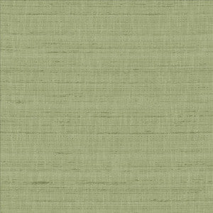 With A View Ivy by Kasmir Fabric