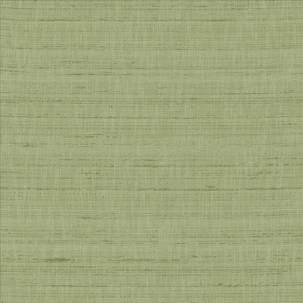 With A View Ivy by Kasmir Fabric 5170 63% Polyester
37% Cotton
 INDIA </p><p>Repeat: Horizontal: N/A and Vertical: N/A 54 - Fabric Carolina -