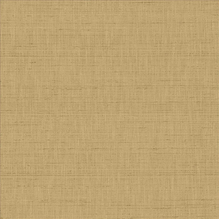 With A View Latte  by Kasmir Fabric See sample 63% Polyester
37% Cotton
 INDIA 50,000 Wyzenbeek Double Rubs </p><p>Repeat: Horizontal: N/A and Vertical: N/A 54  - Fabric Carolina -