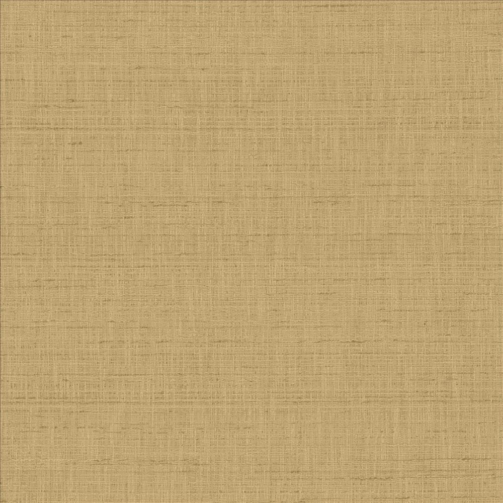 With A View Latte by Kasmir Fabric 5170 63% Polyester
37% Cotton
 INDIA </p><p>Repeat: Horizontal: N/A and Vertical: N/A 54 - Fabric Carolina -