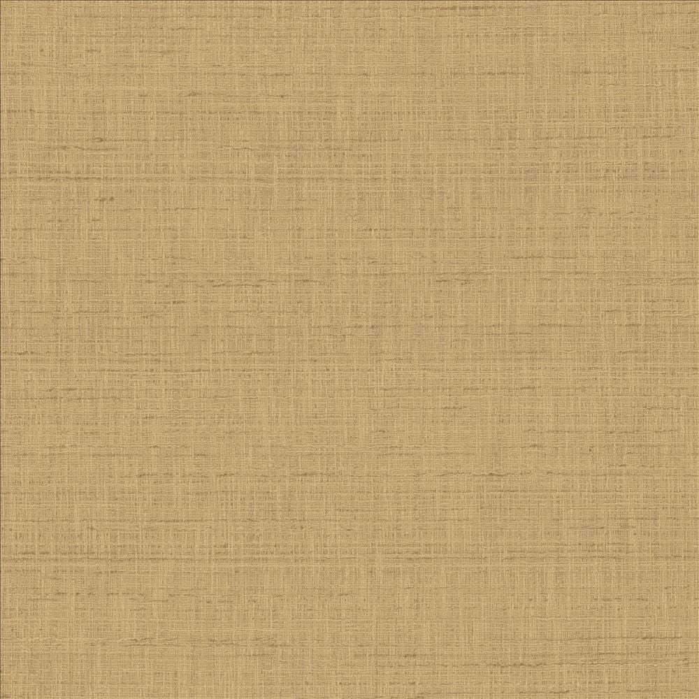 With A View Latte by Kasmir Fabric 5170 63% Polyester
37% Cotton
 INDIA 50,000 Wyzenbeek Double Rubs </p><p>Repeat: Horizontal: N/A and Vertical: N/A 54 - Fabric Carolina -
