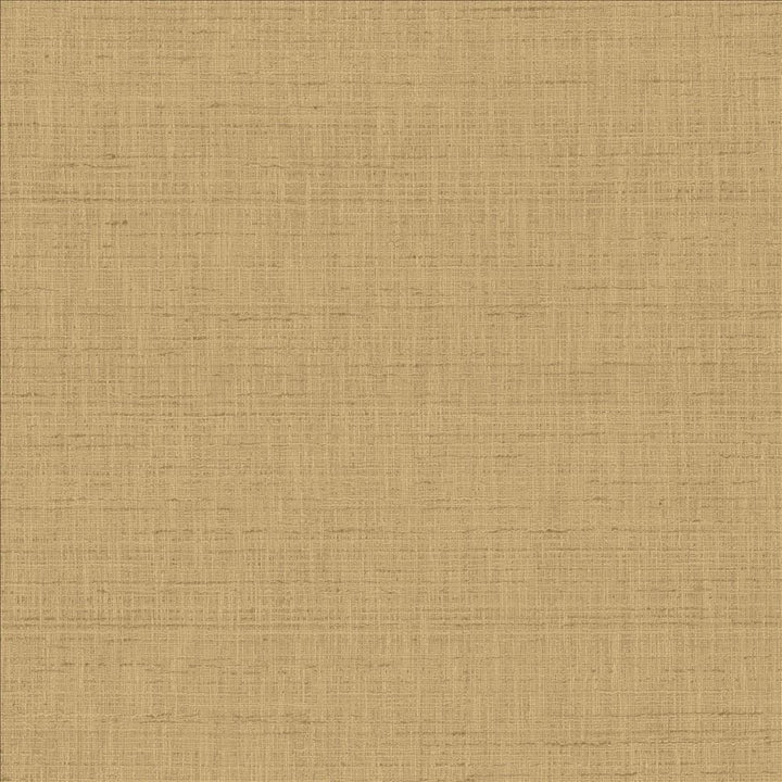 With A View Latte by Kasmir Fabric 5170 63% Polyester
37% Cotton
 INDIA 50,000 Wyzenbeek Double Rubs </p><p>Repeat: Horizontal: N/A and Vertical: N/A 54 - Fabric Carolina -