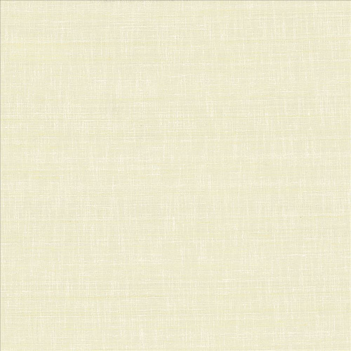 With A View Natural by Kasmir Fabric 5170 63% Polyester
37% Cotton
 INDIA 50,000 Wyzenbeek Double Rubs Horizontal: N/A and Vertical: N/A 54 - Fabric Carolina -