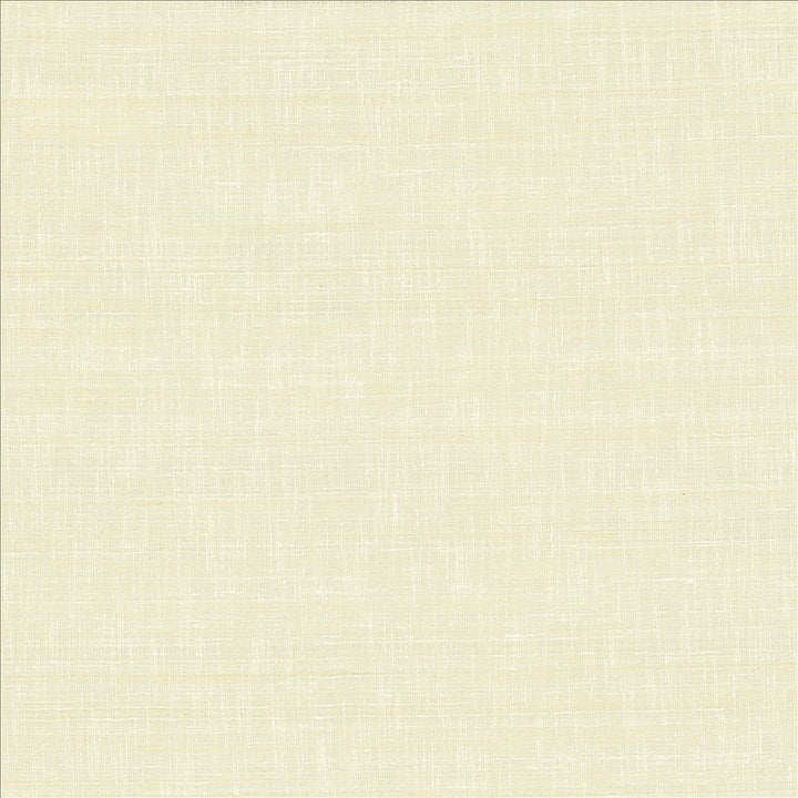 With A View Natural by Kasmir Fabric 5170 63% Polyester
37% Cotton
 INDIA 50,000 Wyzenbeek Double Rubs </p><p>Repeat: Horizontal: N/A and Vertical: N/A 54 - Fabric Carolina -