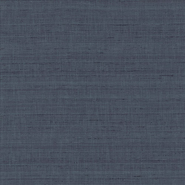 With A View Navy by Kasmir Fabric 5170 63% Polyester
37% Cotton
 INDIA 50,000 Wyzenbeek Double Rubs </p><p>Repeat: Horizontal: N/A and Vertical: N/A 54 - Fabric Carolina -