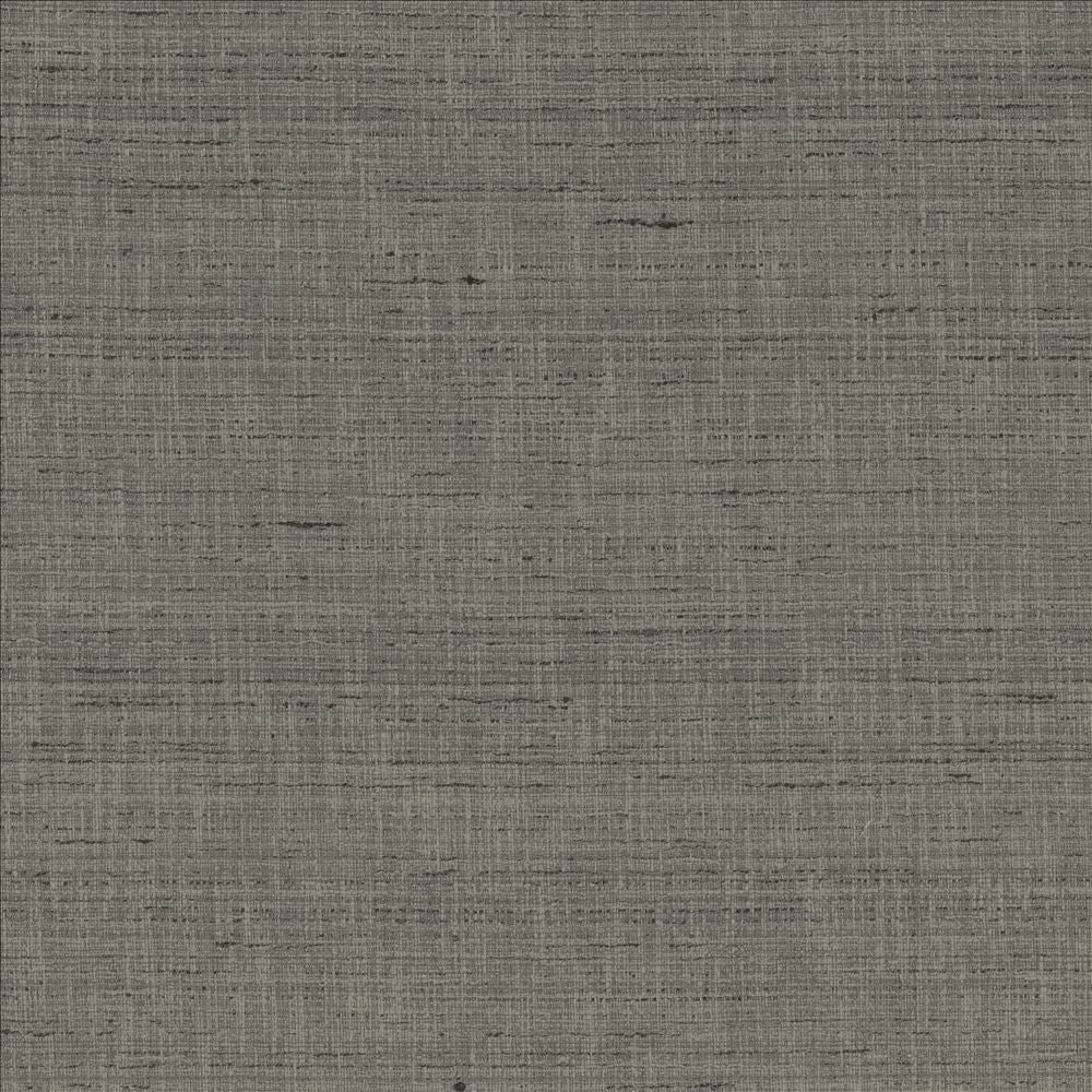 With A View Pewter by Kasmir Fabric 5170 63% Polyester
37% Cotton
 INDIA </p><p>Repeat: Horizontal: N/A and Vertical: N/A 54 - Fabric Carolina -