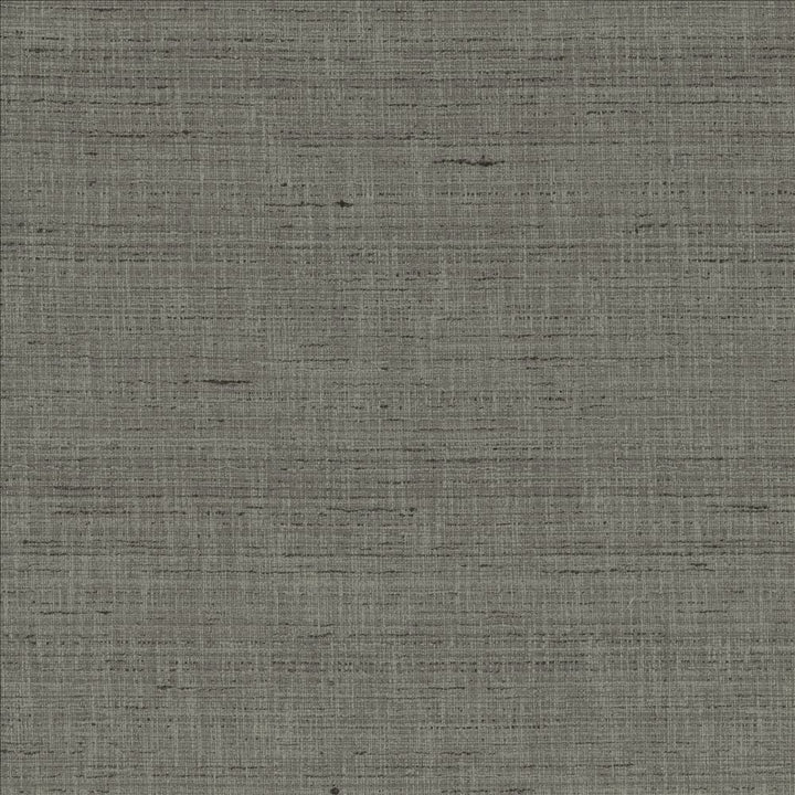 With A View Pewter by Kasmir Fabric 5170 63% Polyester
37% Cotton
 INDIA 50,000 Wyzenbeek Double Rubs Horizontal: N/A and Vertical: N/A 54 - Fabric Carolina -