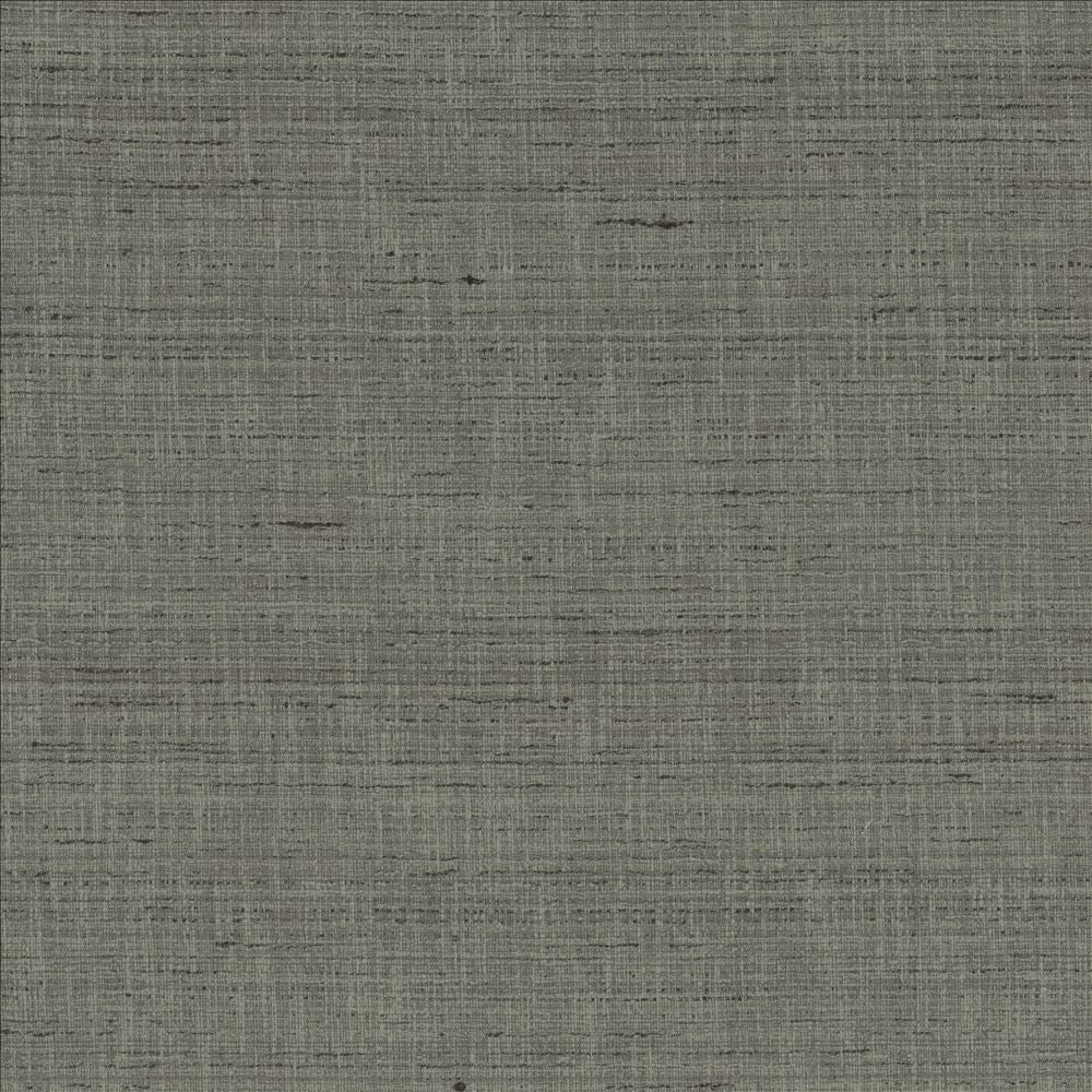 With A View Pewter by Kasmir Fabric 5170 63% Polyester
37% Cotton
 INDIA 50,000 Wyzenbeek Double Rubs </p><p>Repeat: Horizontal: N/A and Vertical: N/A 54 - Fabric Carolina -