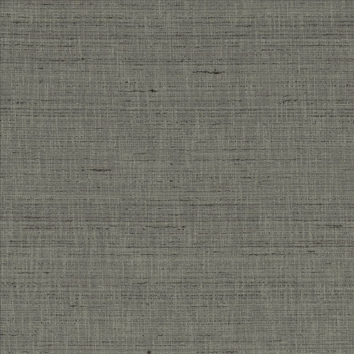 With A View Pewter by Kasmir Fabric 5170 63% Polyester
37% Cotton
 INDIA 50,000 Wyzenbeek Double Rubs </p><p>Repeat: Horizontal: N/A and Vertical: N/A 54 - Fabric Carolina -