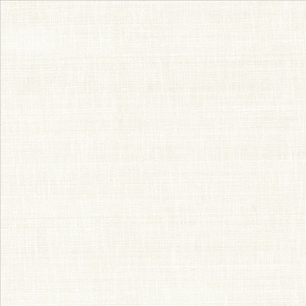 With A View Snow  by Kasmir Fabric See sample 63% Polyester
37% Cotton
 INDIA 50,000 Wyzenbeek Double Rubs </p><p>Repeat: Horizontal: N/A and Vertical: N/A 54  - Fabric Carolina -