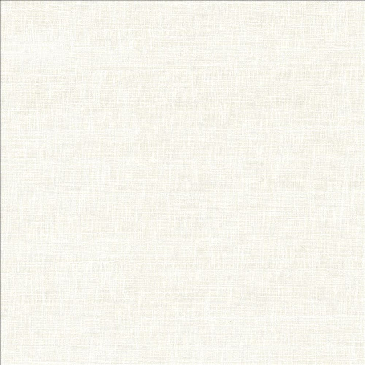 With A View Snow  by Kasmir Fabric See sample 63% Polyester
37% Cotton
 INDIA 50,000 Wyzenbeek Double Rubs </p><p>Repeat: Horizontal: N/A and Vertical: N/A 54  - Fabric Carolina -