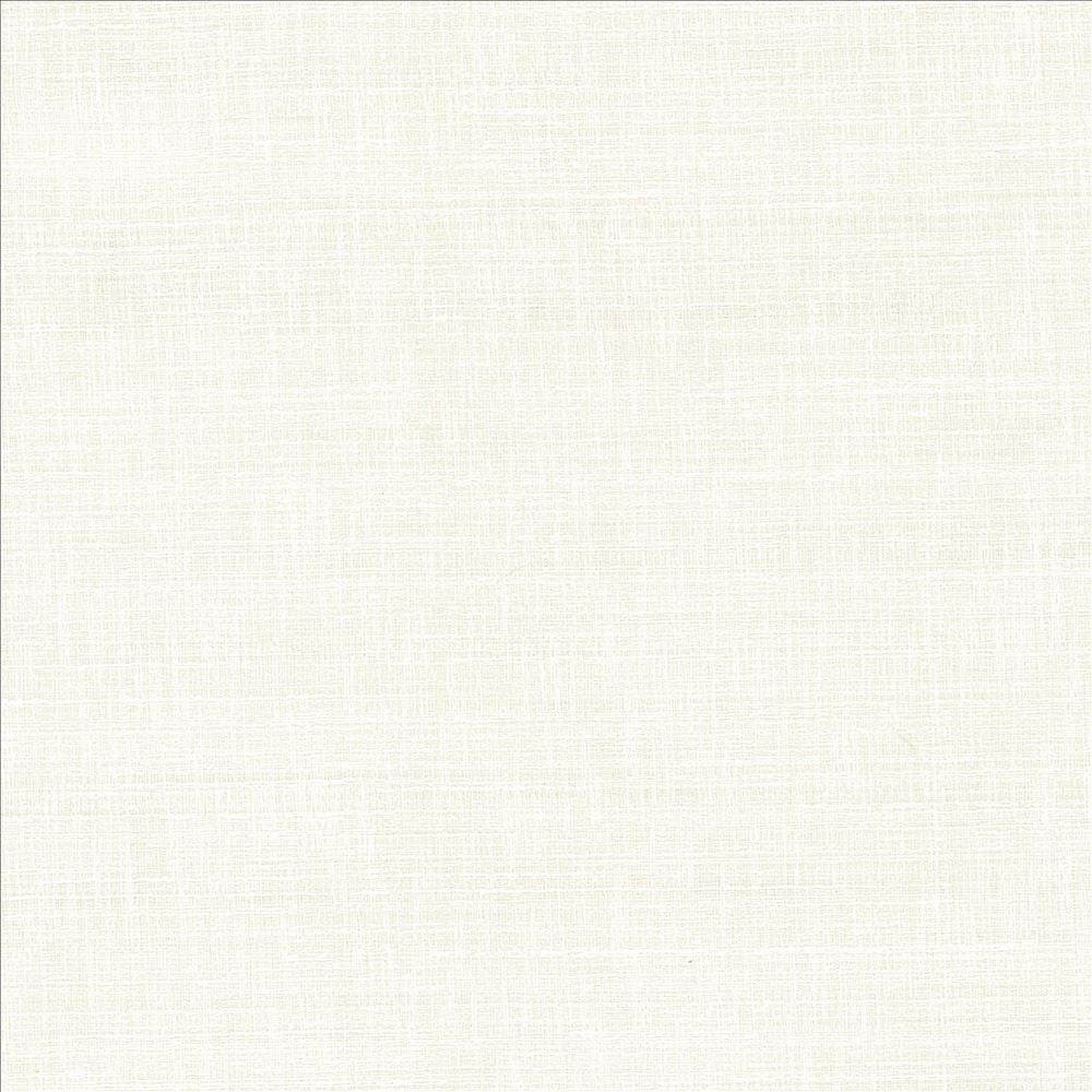 With A View Snow by Kasmir Fabric 5170 63% Polyester
37% Cotton
 INDIA 50,000 Wyzenbeek Double Rubs </p><p>Repeat: Horizontal: N/A and Vertical: N/A 54 - Fabric Carolina -