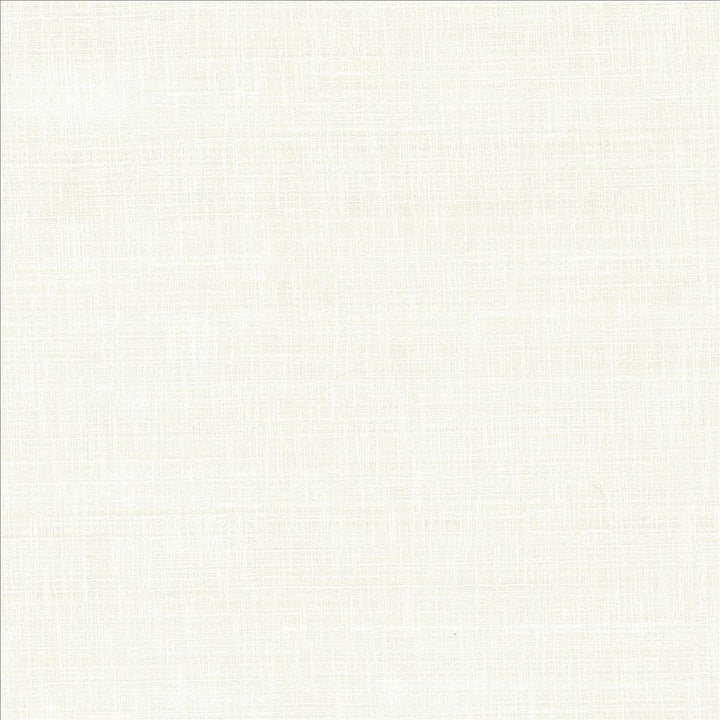 With A View Snow by Kasmir Fabric 5170 63% Polyester
37% Cotton
 INDIA 50,000 Wyzenbeek Double Rubs </p><p>Repeat: Horizontal: N/A and Vertical: N/A 54 - Fabric Carolina -