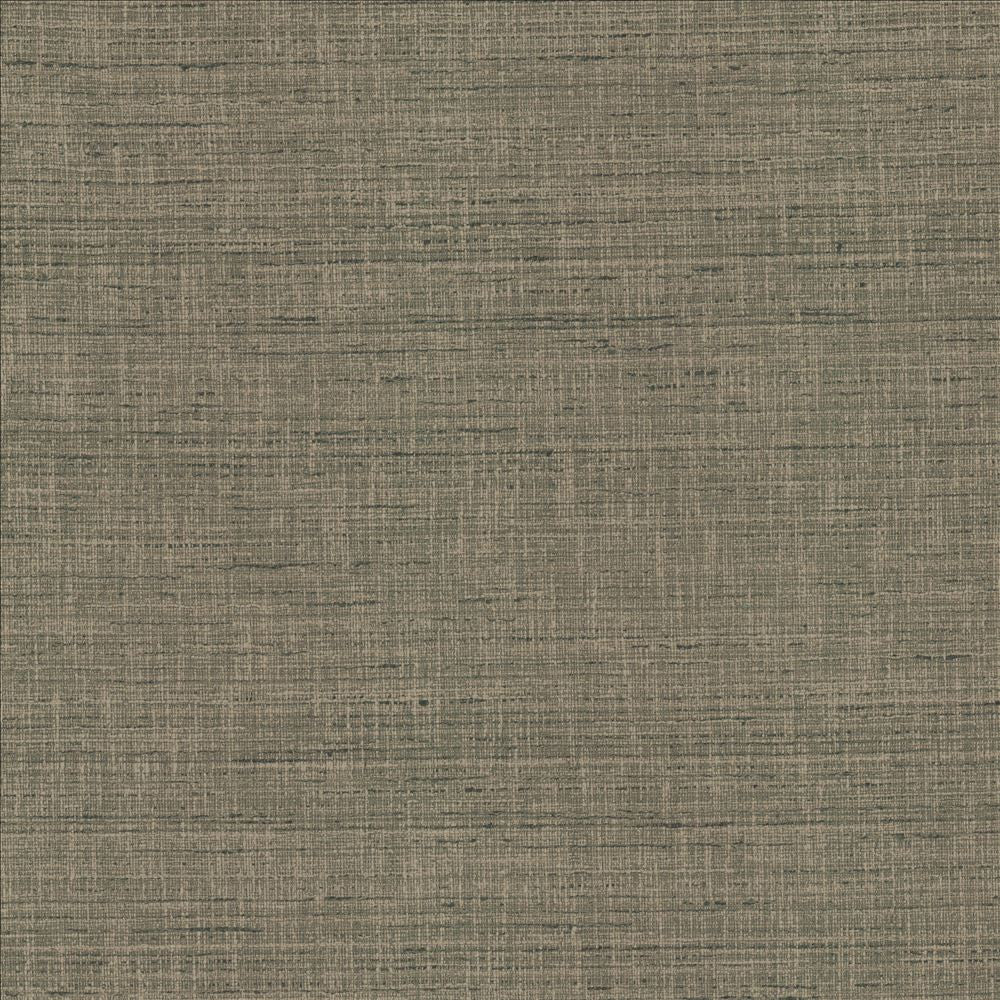 With A View Steel by Kasmir Fabric 5170 63% Polyester
37% Cotton
 INDIA 50,000 Wyzenbeek Double Rubs </p><p>Repeat: Horizontal: N/A and Vertical: N/A 54 - Fabric Carolina -