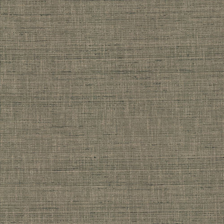 With A View Steel by Kasmir Fabric 5170 63% Polyester
37% Cotton
 INDIA 50,000 Wyzenbeek Double Rubs </p><p>Repeat: Horizontal: N/A and Vertical: N/A 54 - Fabric Carolina -