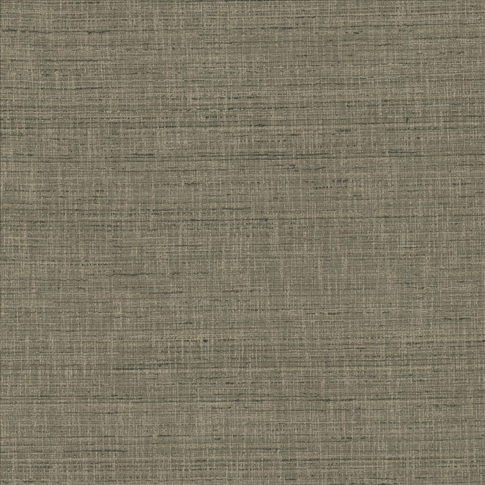 With A View Steel  by Kasmir Fabric See sample 63% Polyester
37% Cotton
 INDIA 50,000 Wyzenbeek Double Rubs </p><p>Repeat: Horizontal: N/A and Vertical: N/A 54  - Fabric Carolina -