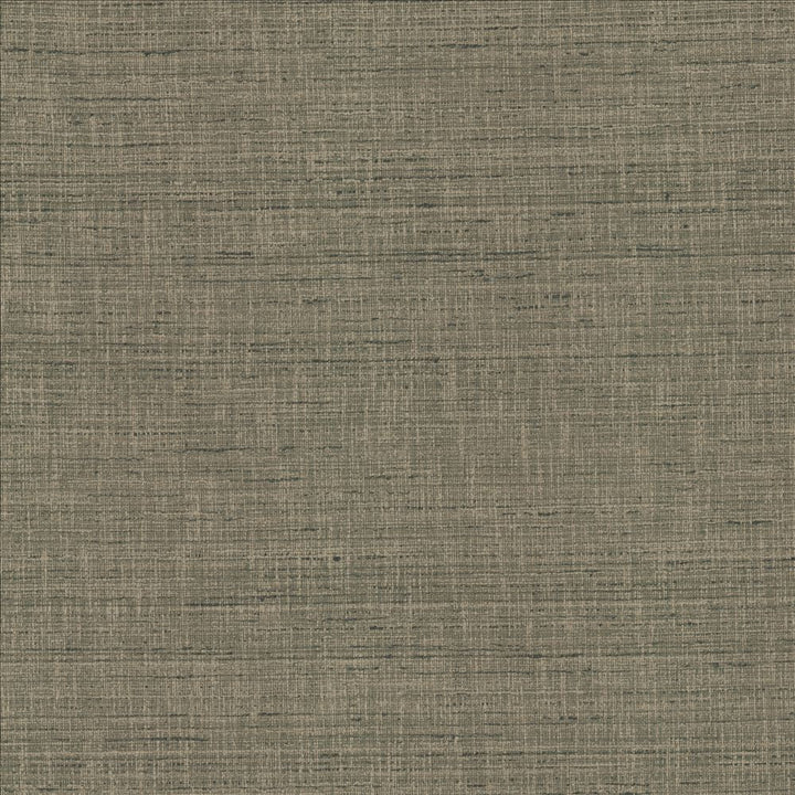 With A View Steel  by Kasmir Fabric See sample 63% Polyester
37% Cotton
 INDIA 50,000 Wyzenbeek Double Rubs </p><p>Repeat: Horizontal: N/A and Vertical: N/A 54  - Fabric Carolina -