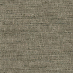 With A View Steel by Kasmir Fabric