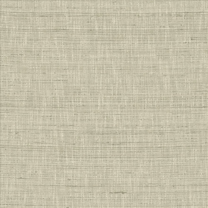 With A View Sterling  by Kasmir Fabric See sample 63% Polyester
37% Cotton
 INDIA 50,000 Wyzenbeek Double Rubs </p><p>Repeat: Horizontal: N/A and Vertical: N/A 54  - Fabric Carolina -