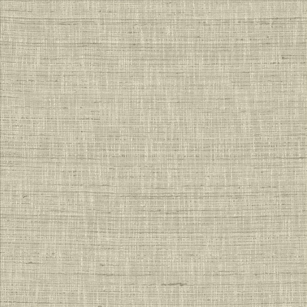 With A View Sterling by Kasmir Fabric 5170 63% Polyester
37% Cotton
 INDIA 50,000 Wyzenbeek Double Rubs </p><p>Repeat: Horizontal: N/A and Vertical: N/A 54 - Fabric Carolina -